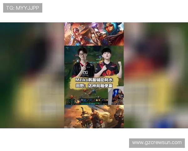 Meiko辅助玩法深度解析与最佳搭配英雄推荐